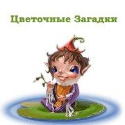 Обложка игры Цветочные Загадки
