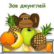 Обложка игры Зов джунглей