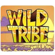 Обложка игры Wild Tribe