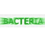 Обложка игры Bacteria