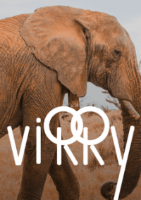 Обложка игры Virry VR