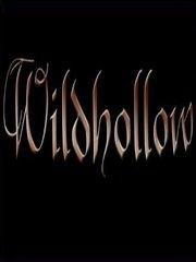 Обложка игры Wildhollow