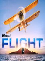 Обложка игры Microsoft Flight