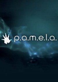 Обложка игры P.A.M.E.L.A.