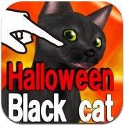Обложка игры Halloween Black Cat