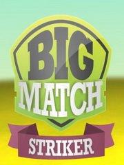 Обложка игры Big Match Striker