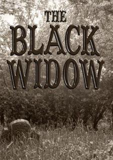 Обложка игры The Black Widow