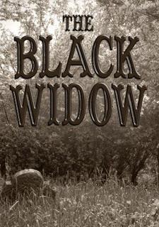 Обложка игры The Black Widow