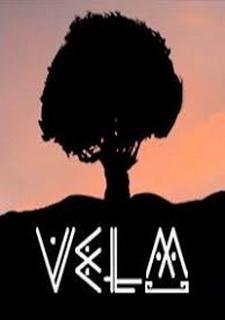 Обложка игры VeLM