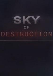 Обложка игры Sky Of Destruction