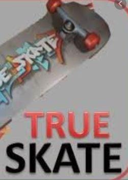 Обложка игры True Skate