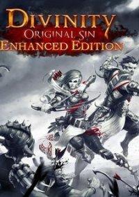 Обложка игры Divinity: Original Sin Enhanced Edition