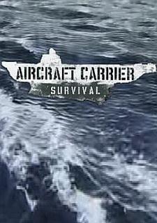 Обложка игры Aircraft Carrier Survival