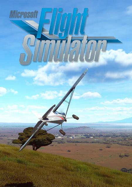 Обложка игры Microsoft Flight Simulator (2020)