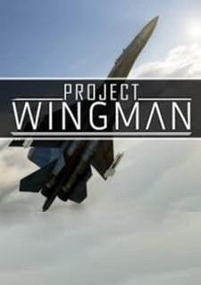 Обложка игры Project Wingman