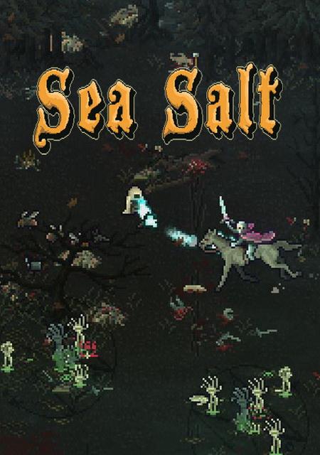 Обложка игры Sea Salt